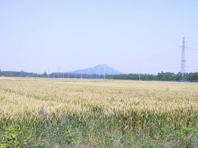 20100606206.jpg