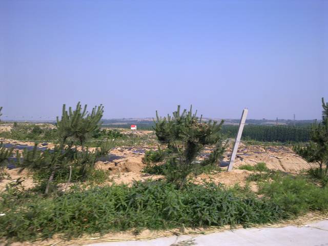 20100606211.jpg