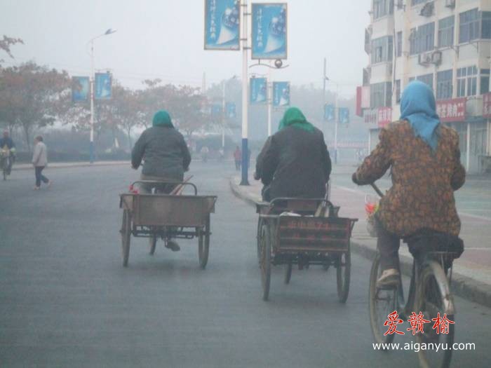 调整大小 DSCF2813.JPG