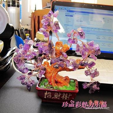 紫晶发财树1.jpg