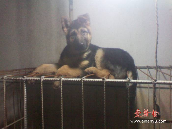 2011-01-16 17.52.35.jpg