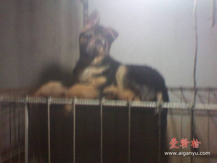 2011-01-16 17.52.40.jpg