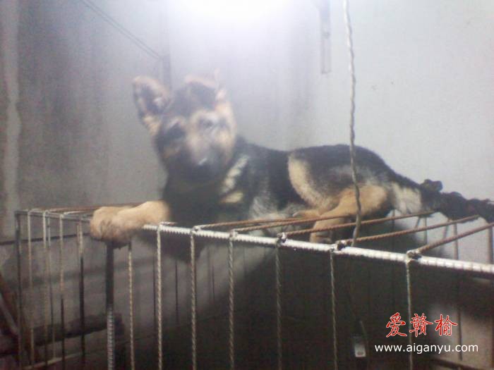 2011-01-16 17.52.53.jpg