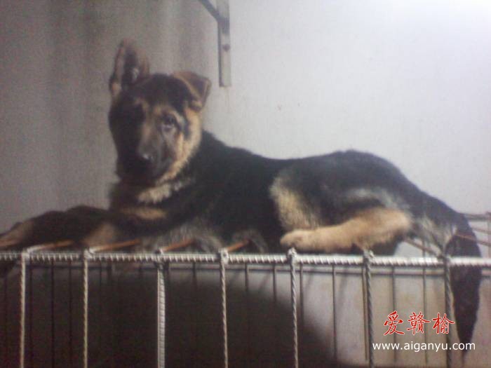 2011-01-16 17.54.02.jpg