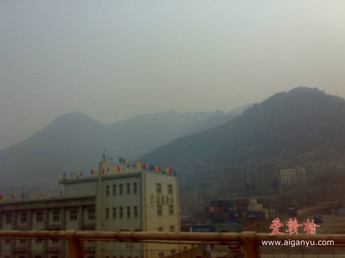 20110211098.jpg