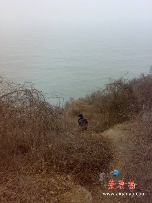 旋转 20110211183.jpg