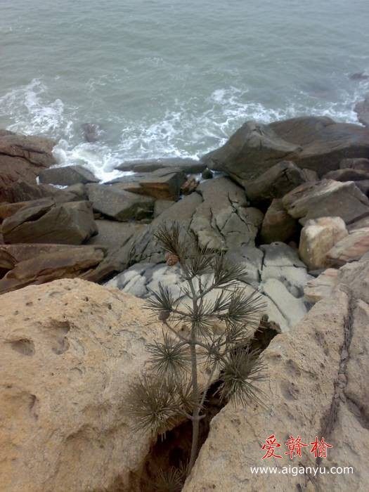 旋转 20110211187.jpg