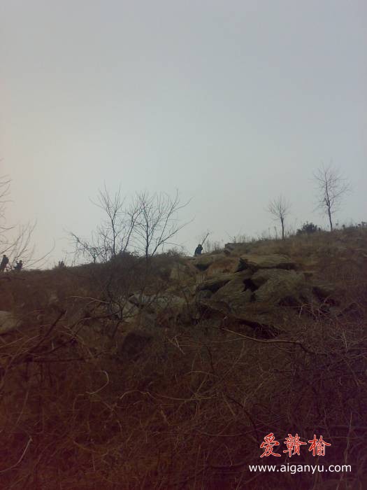 旋转 20110211182.jpg