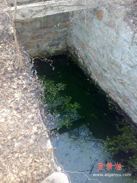 旋转 20110211195.jpg