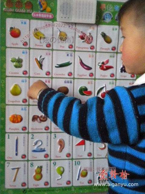 炫子认果蔬学数字