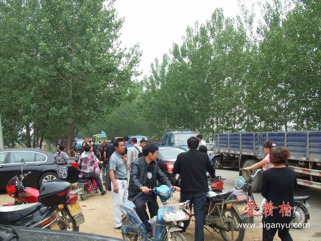 调整大小 DSCF6165.JPG