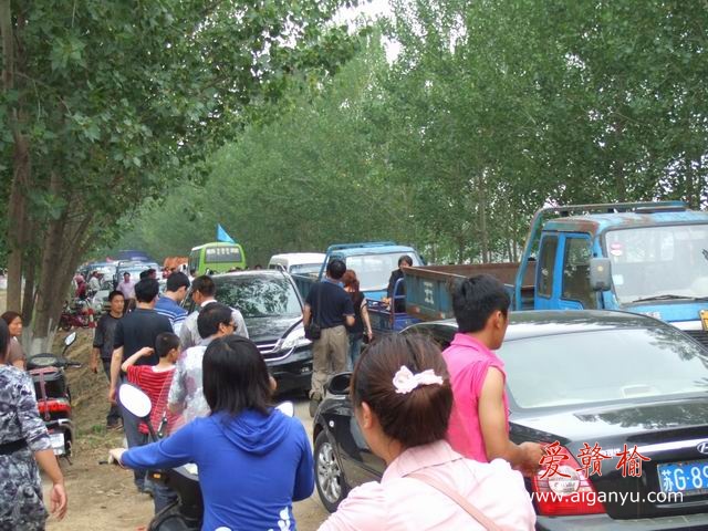 调整大小 DSCF6167.JPG