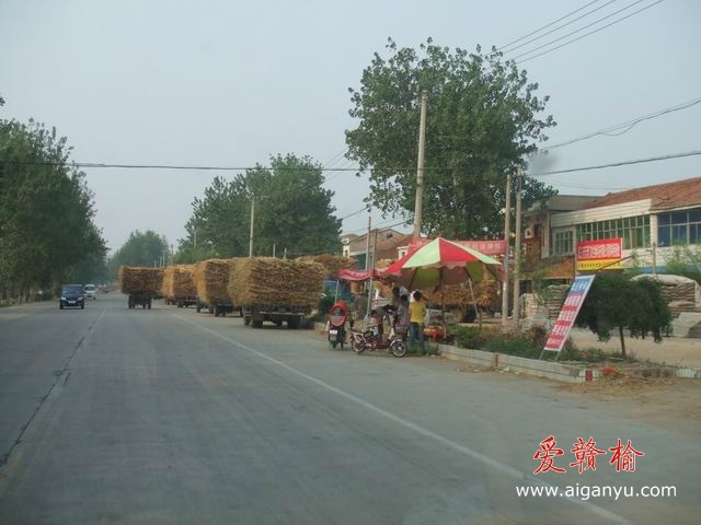 调整大小 DSCF6286.JPG