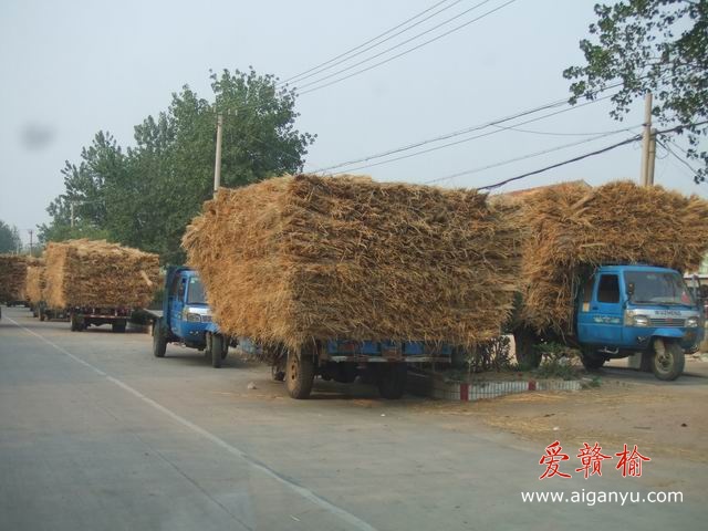 调整大小 DSCF6289.JPG