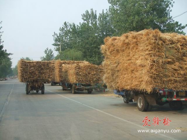 调整大小 DSCF6290.JPG