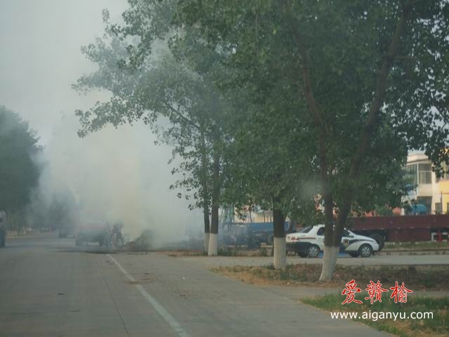 调整大小 DSCF6294.JPG