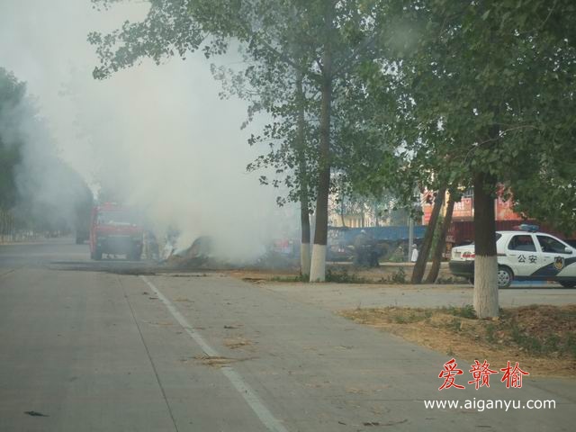 调整大小 DSCF6295.JPG