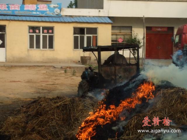 调整大小 DSCF6297.JPG