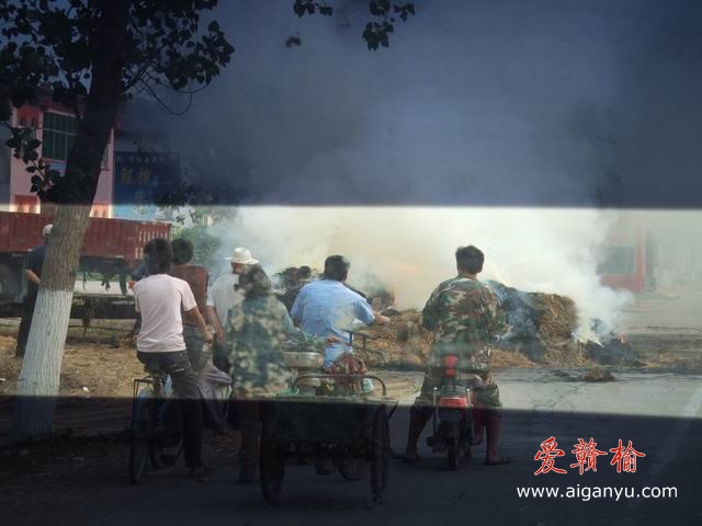 调整大小 DSCF6300.JPG