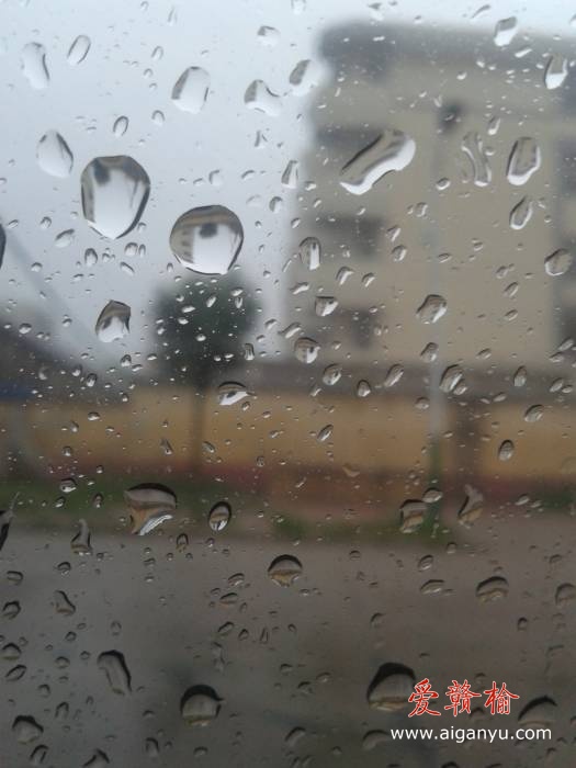 旋转 2011-08-11 10.34.24.jpg