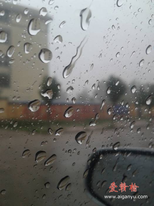 旋转 2011-08-11 10.34.44.jpg