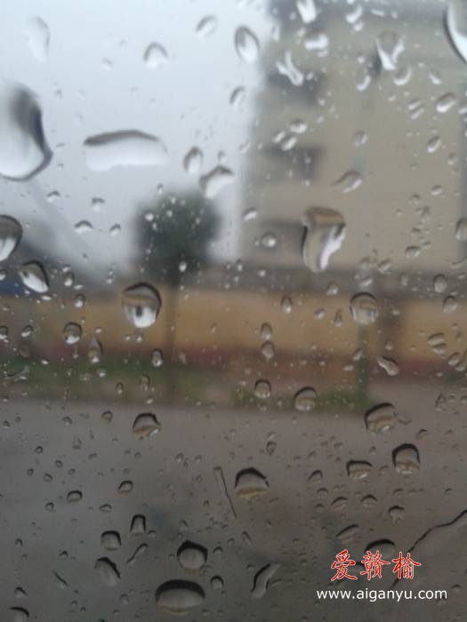 旋转 2011-08-11 10.35.22.jpg