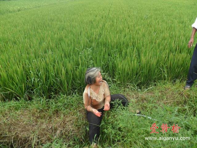 调整大小 SAM_0563.JPG