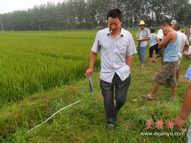 调整大小 SAM_0565.JPG