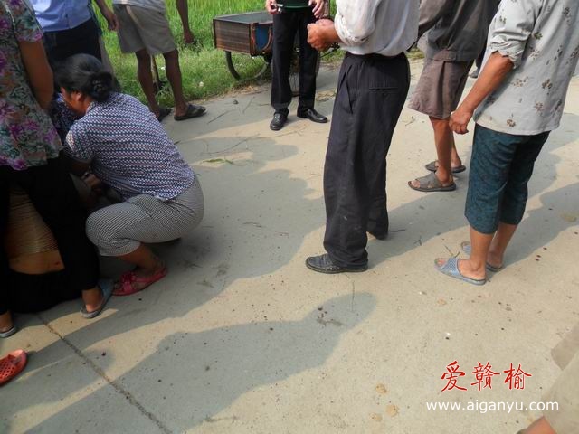 调整大小 SAM_0566.JPG