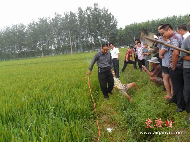 调整大小 SAM_0568.JPG