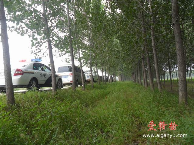 调整大小 SAM_0571.JPG