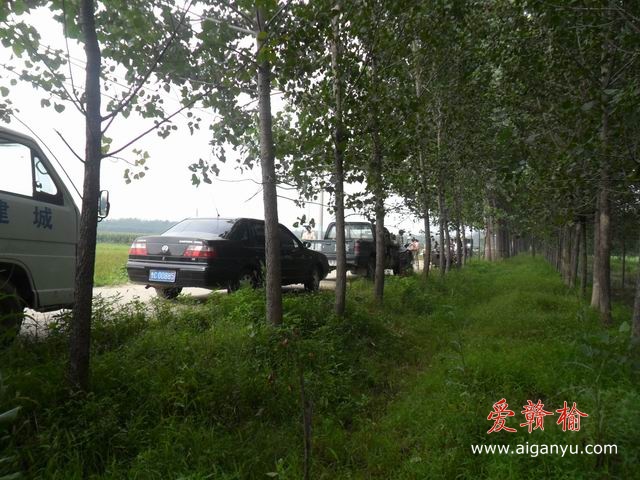 调整大小 SAM_0575.JPG