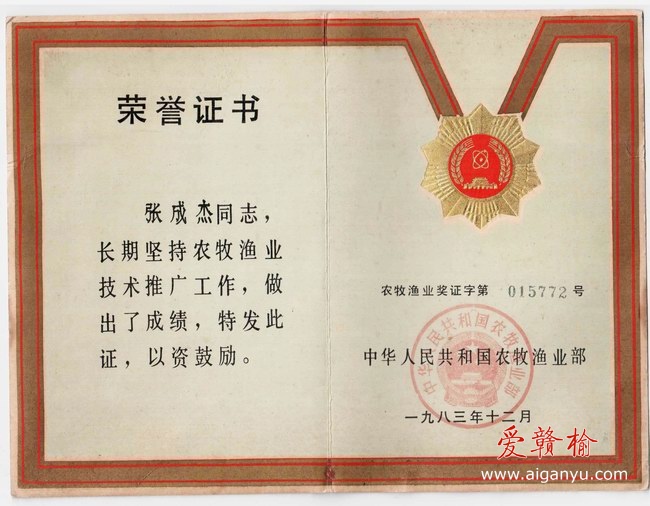 TTTT2010-12-22 3-06.jpg