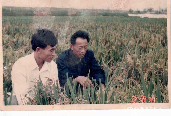 TTT 2010-12-22 3-06 (7).jpg