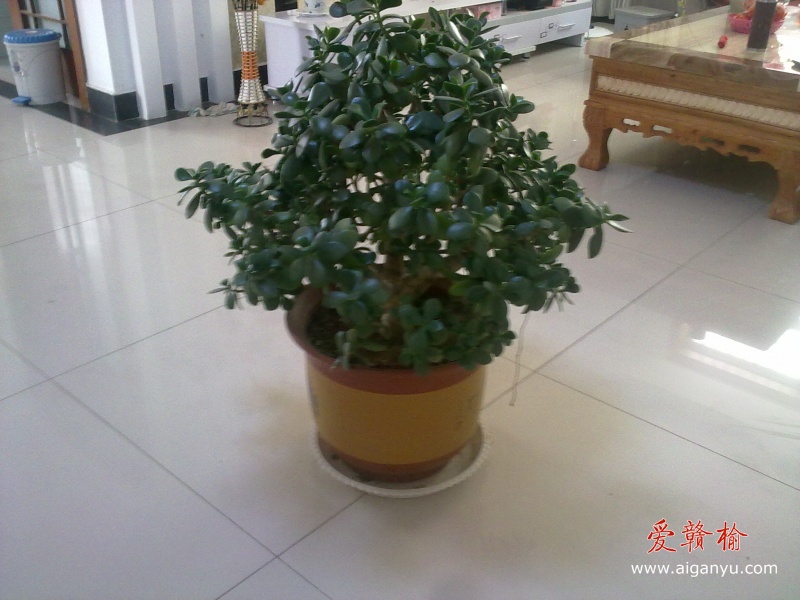 201205271618.jpg