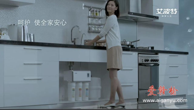 连云港"艾波特（aibote）"净水器品牌经营