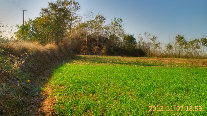 IMG_20131107_135900_HDR_副本.jpg