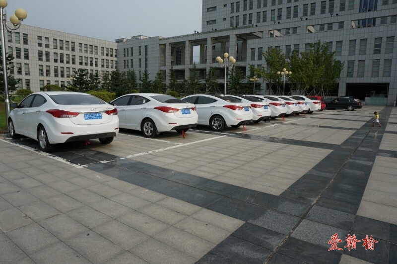 朗动婚车车队绝对够大气！