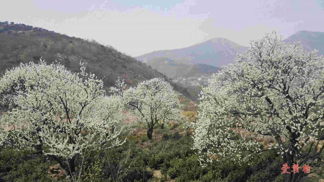 花果山