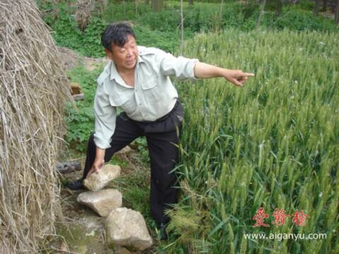 抚摸这些“证据”，老徐感慨万千。