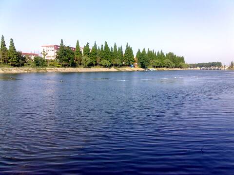 2009-05-26_1557.jpg