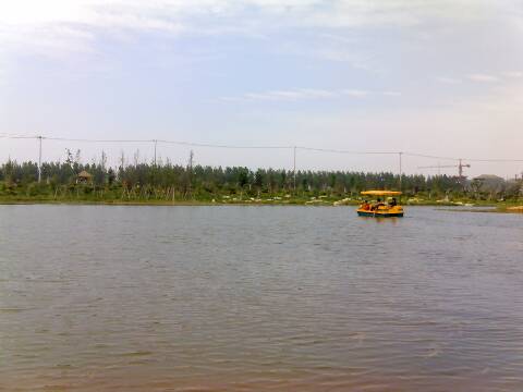 2009-05-28_1441.jpg