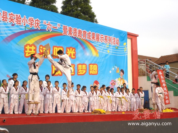 赣榆县“英豪跆拳道俱乐部”前来助兴演出