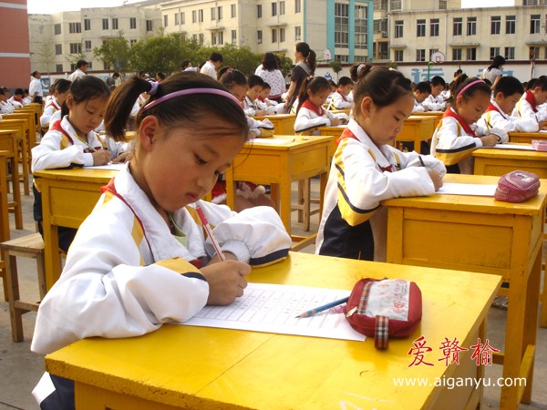 参赛的学生在认真书写