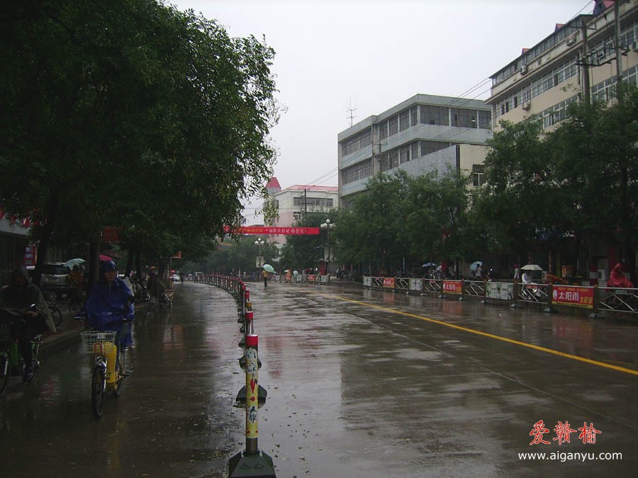 雨中华中路.JPG