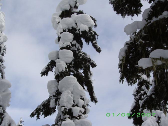 雪景 2