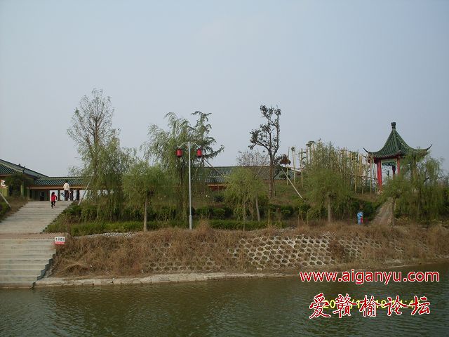 SDC10041.JPG