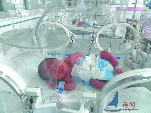 赣榆产妇生下“双龙双凤”