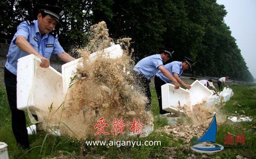 东海放生五万余只青蛙