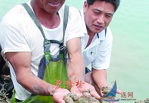 乡村二人转看沿海（一）